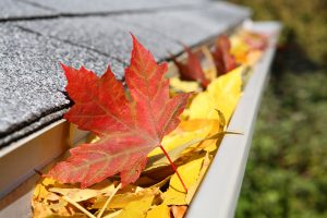 Picture of leaves clogging a gutter.